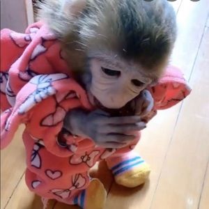 Meet your Posher, Abraham